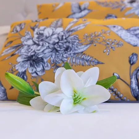 Apartamento Beachome4u 5 *